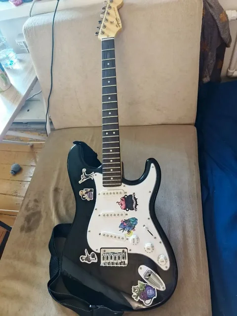 Fender Squir mm Stratocaster - Растения и цветы в Челябинск
