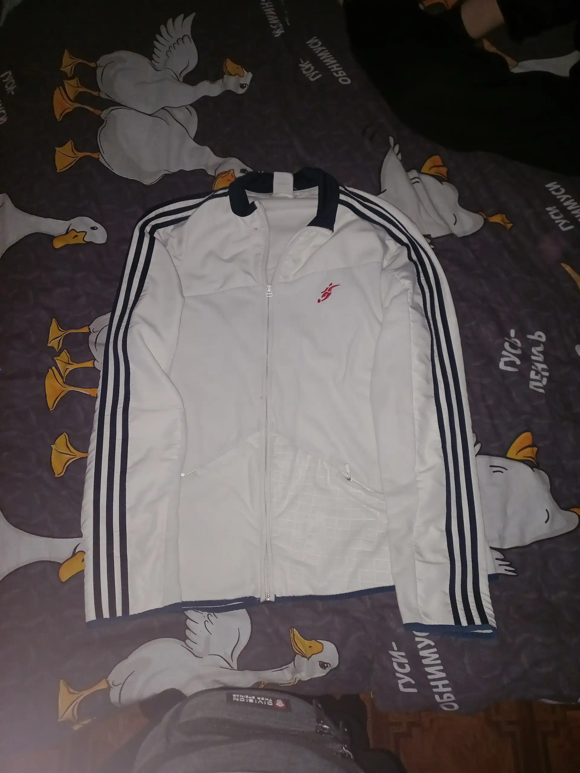 Продам фастом зарик/затон - Барахолка в Вологда