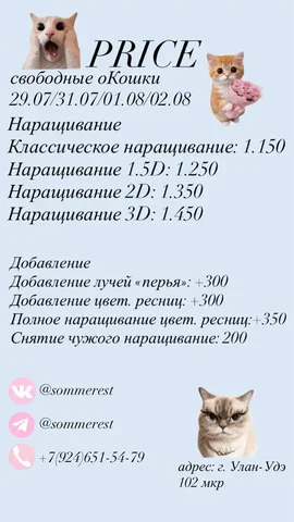 Свободные кошки - частное объявление в Улан-Удэ