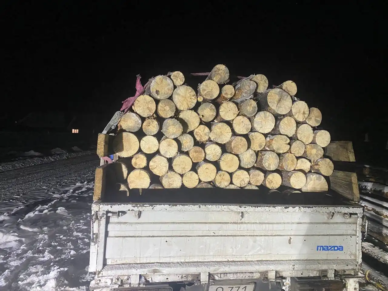 Сухая сосна с нарыстом 6 рядов