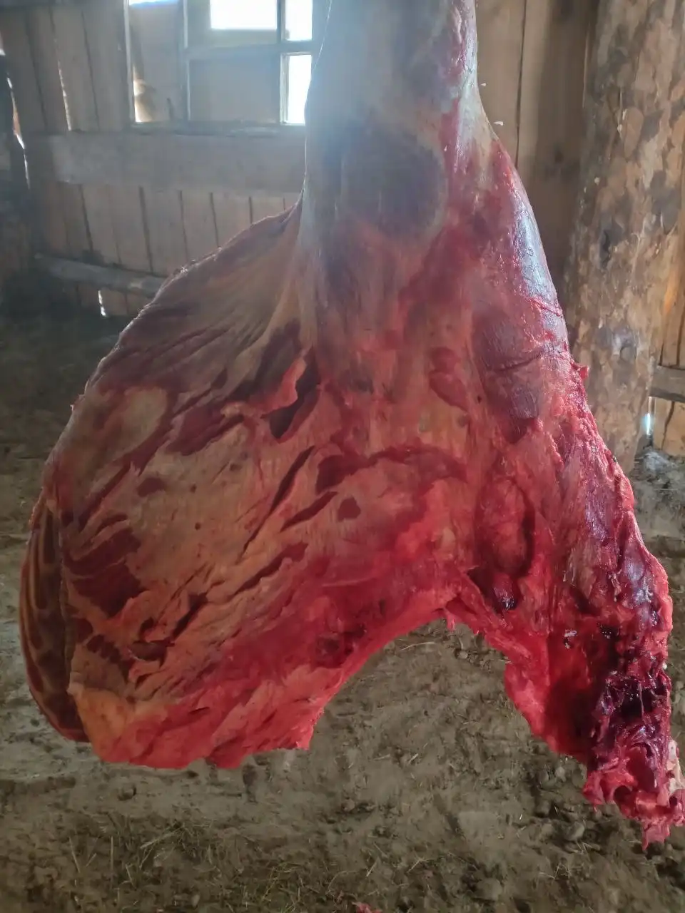 Продажа конины