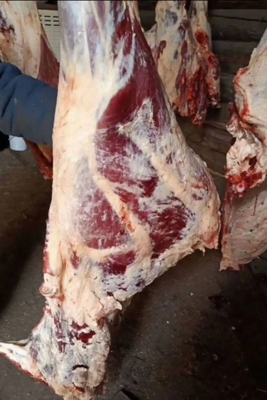 Продажа фермерской говядины из Закаменского района