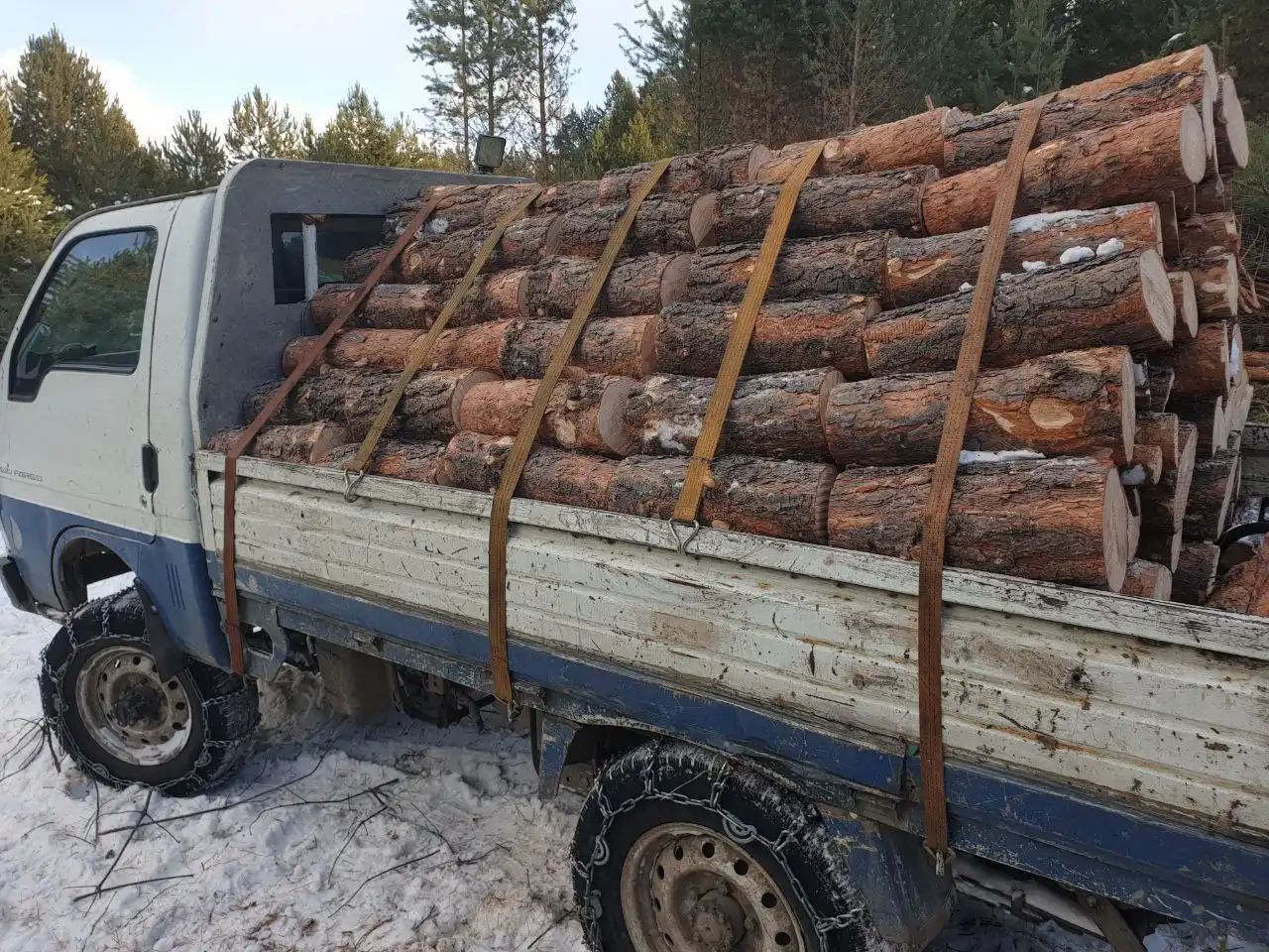 Продажа сырых дров сосновых