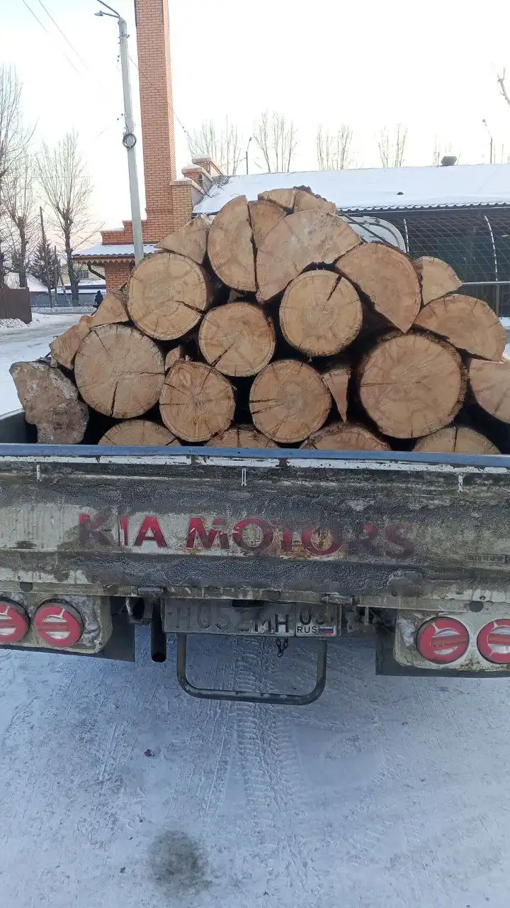 Сухой листвяк