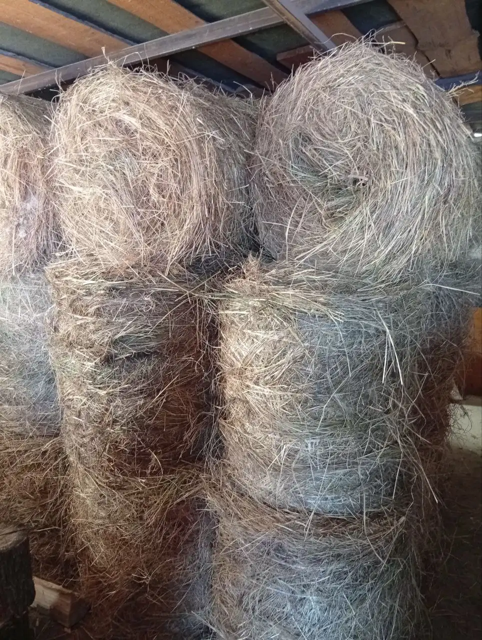 Продажа сена в тюках и мешках