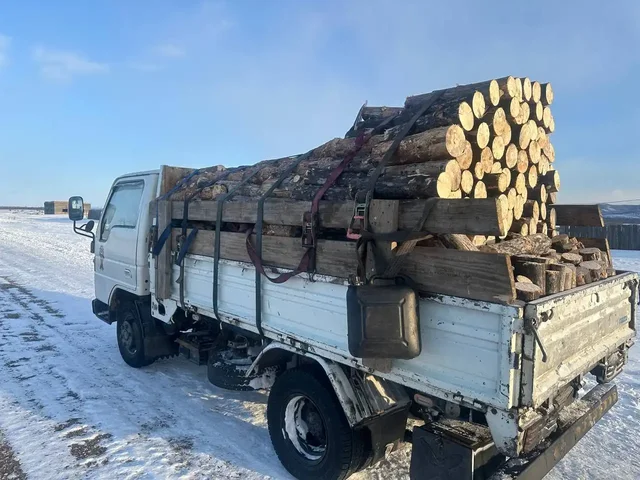 Продажа сухой сосны 6 рядов с наростом - Травы/Средства народной медицины в Улан-Удэ