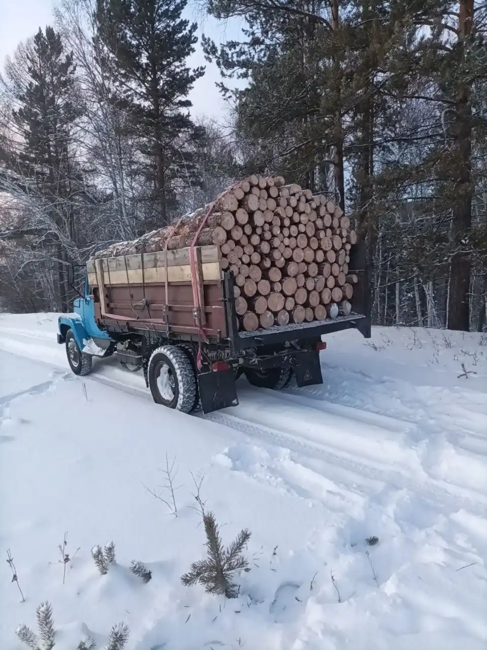 Продам дрова сосна ГАЗ53 сырые - Дрова (Барахолка) в Улан-Удэ