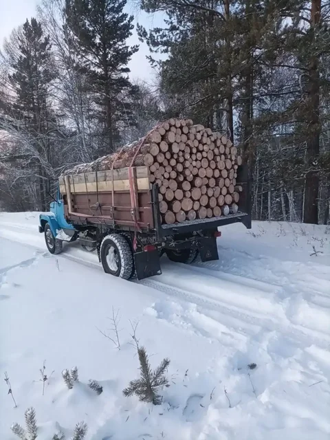 Продам дрова сосна ГАЗ53 сырые - Объявления в Улан-Удэ