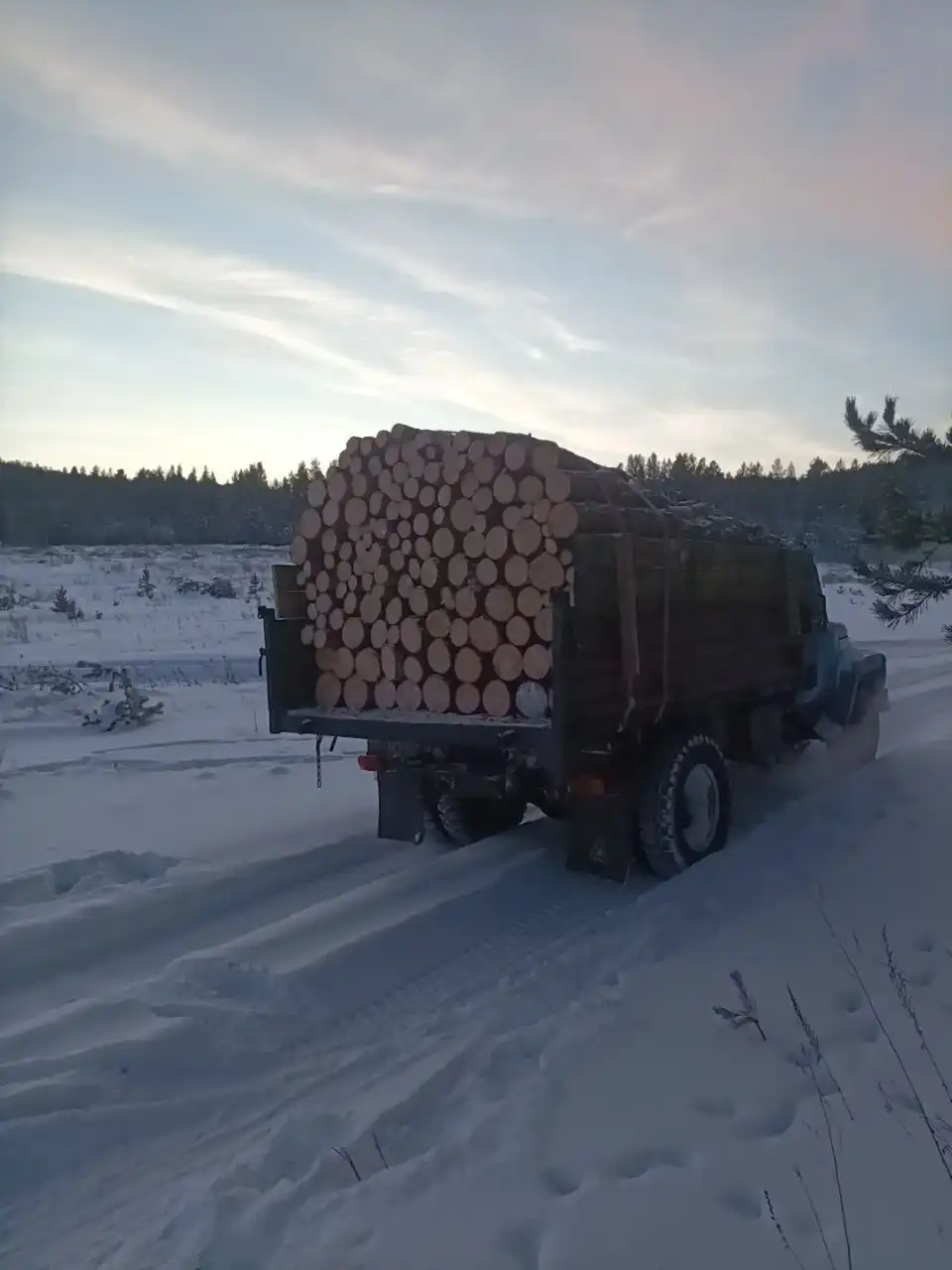 Продам дрова сосна ГАЗ53 сырые - Дрова (Барахолка) в Улан-Удэ