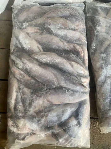 Продажа пеляди блочной - Подарки и сувениры в Улан-Удэ