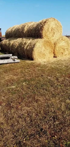 Продажа сена и соломы в Лохово Черемховского района - частное объявление в Лохово