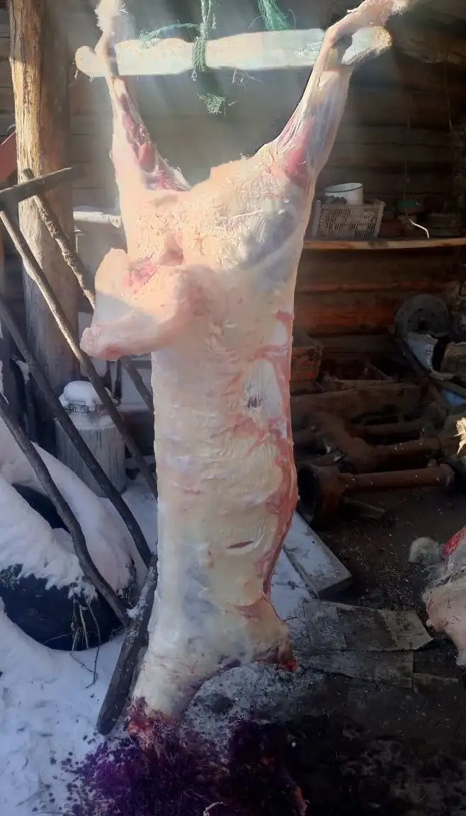 Продажа баранины - Продукты питания (Барахолка) в Улан-Удэ