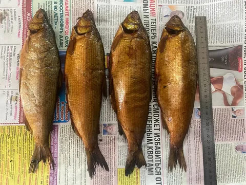 Пелядь горячего копчения - Сладости в Улан-Удэ