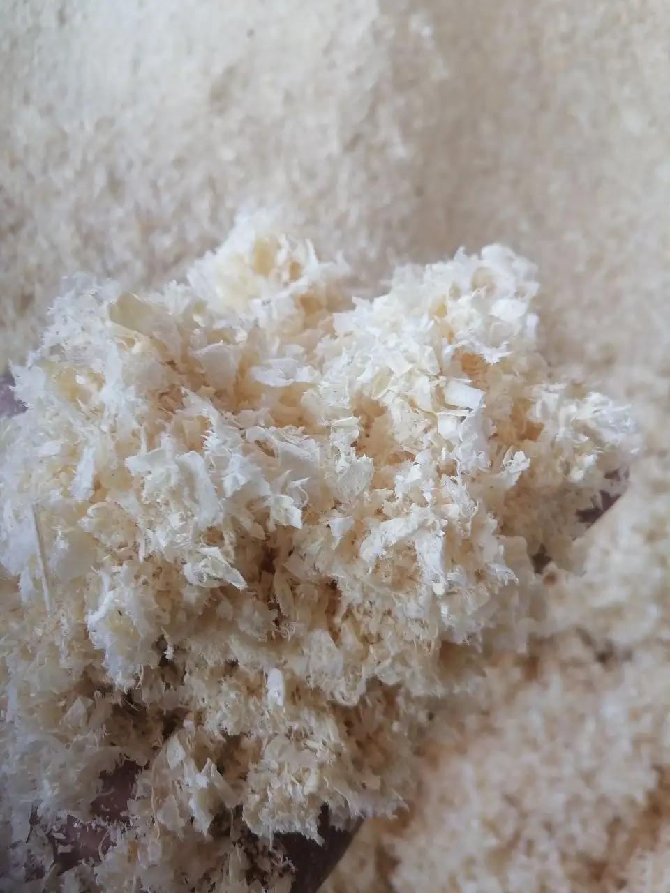 Стружка сухая осина на подстилку для животных - Сельхозтовары (Барахолка) в Улан-Удэ