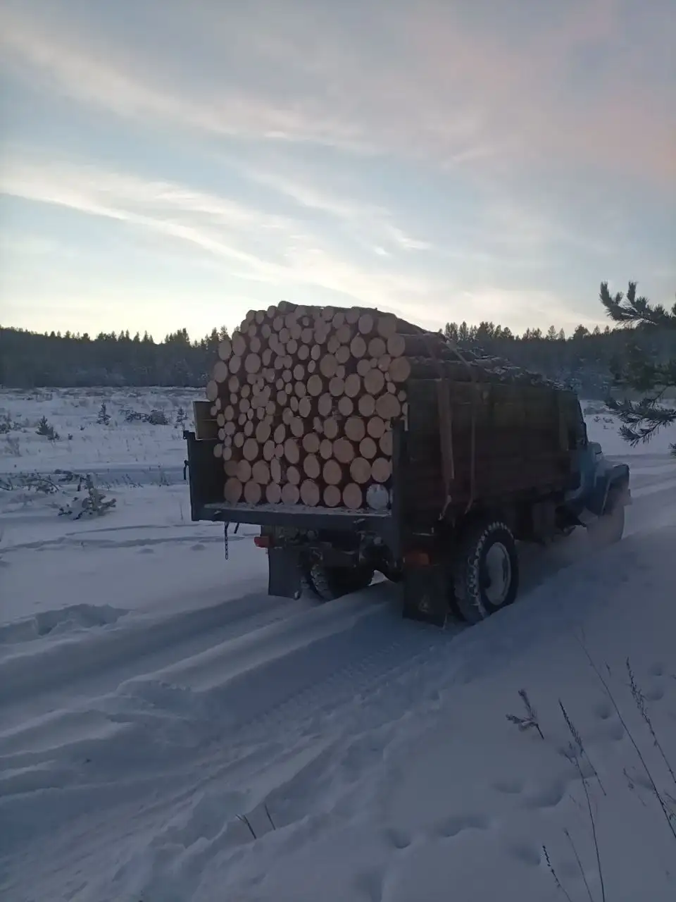 Продажа сырых сосновых дров с возможностью обмена - Топливо (Для дома и дачи) в Улан-Удэ