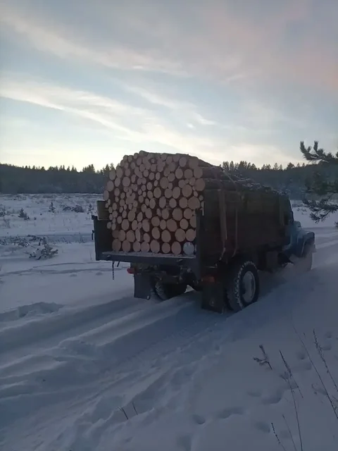 Продажа сырых сосновых дров с возможностью обмена - Товары для дома и дачи в Улан-Удэ
