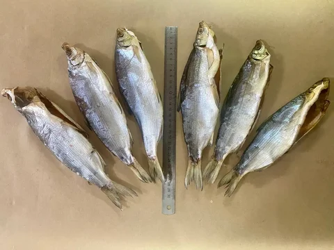 Продажа вяленой пеляди в Улан-Удэ - Разбор в Улан-Удэ