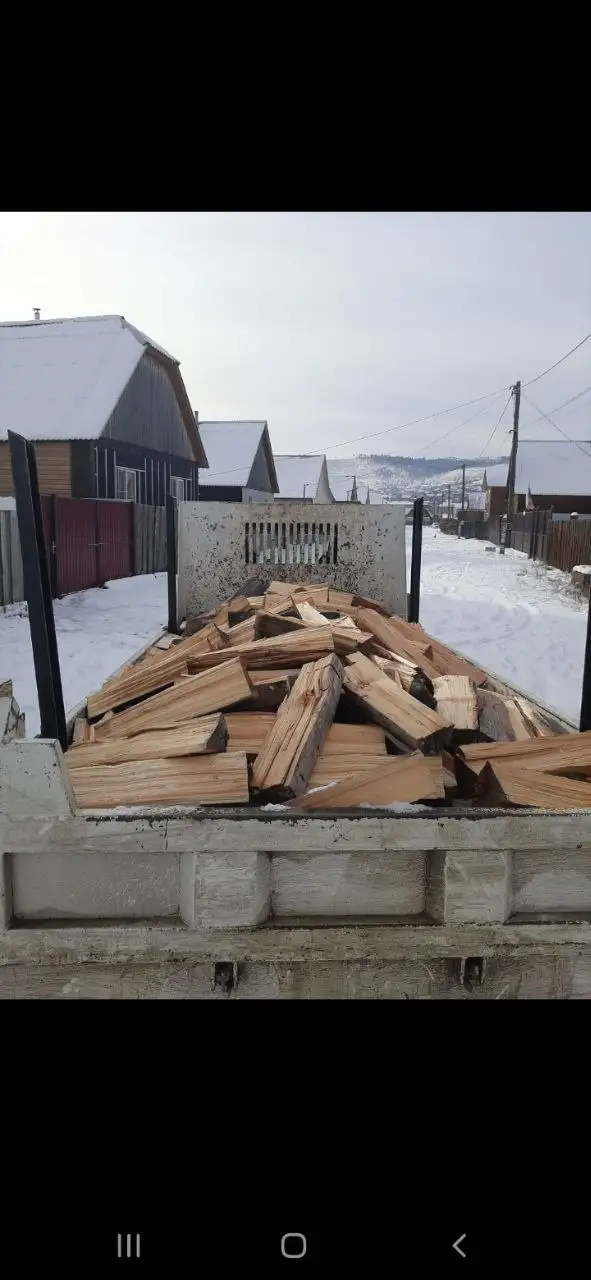 Сухая сосна накид - Барахолка в Улан-Удэ