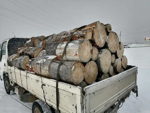 Сосна сухие 6 рядов - Техника для дома в Улан-Удэ