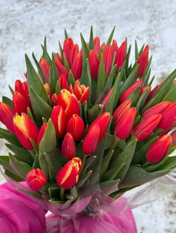 Букеты из тюльпанов с доставкой - Массаж в Улан-Удэ