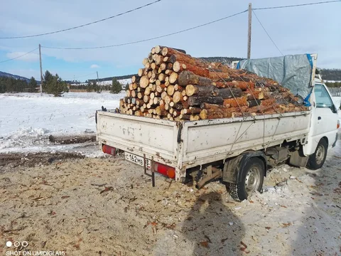 Продажа сухих дров из сосны - Дрова в Улан-Удэ