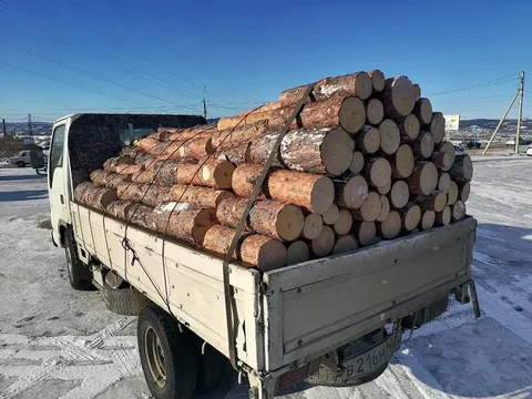 Продажа сырой сосны 6 ряда - Посуда в Улан-Удэ