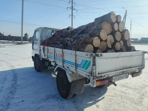 Продажа сырой лиственницы - Товары для животных в Улан-Удэ