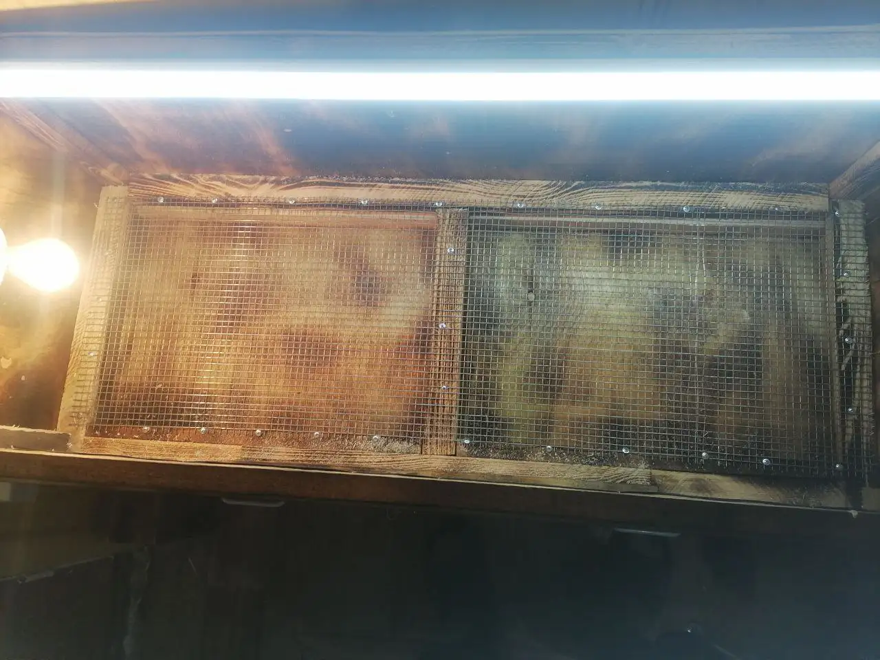 Продам новый брудер для подращивания цыплят - Товары для животных (Животные) в Улан-Удэ