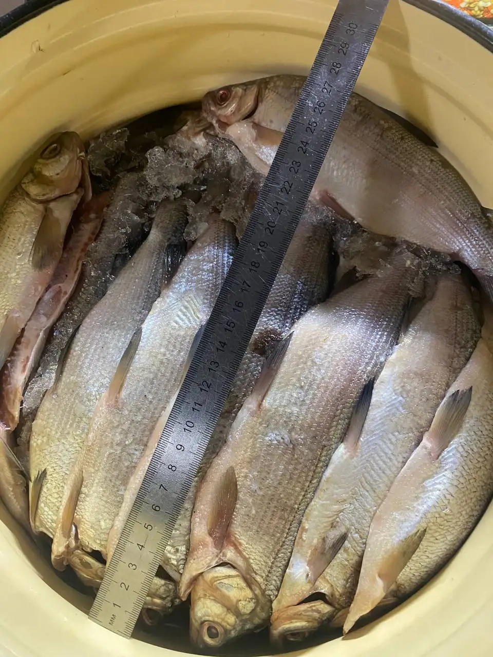 Продажа пеляди малосольной - Продукты питания (Барахолка) в Улан-Удэ