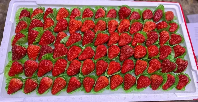 Доставка фруктов, орехов и сладостей на дом - Финансовые услуги в Улан-Удэ