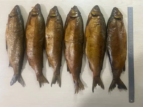 Пелядь горячего копчения в Улан-Удэ - Барахолка в Улан-Удэ