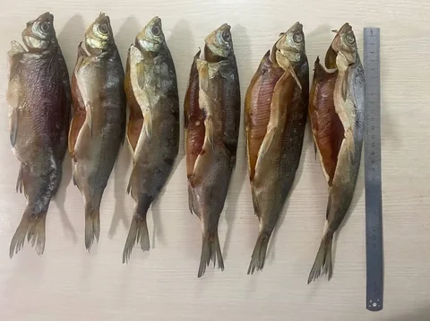 Продажа вяленой пеляди в Улан-Удэ - Рыбалка/Рыбная продукция в Улан-Удэ