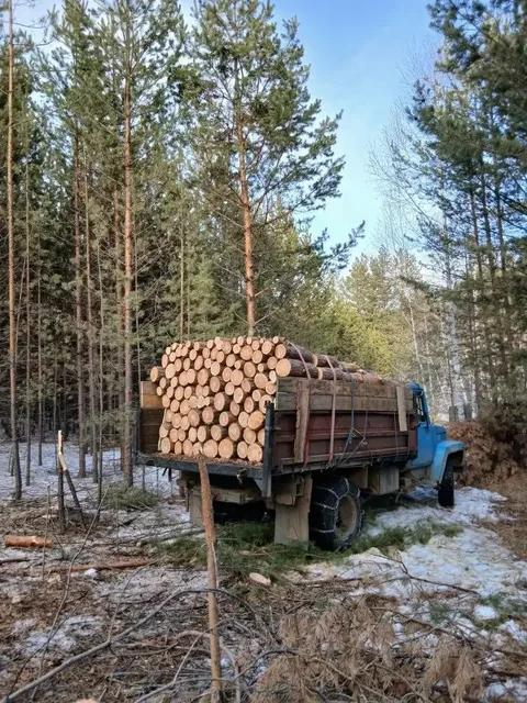 Продам дрова сосна ГАЗ53 - Мебель для детей в Улан-Удэ