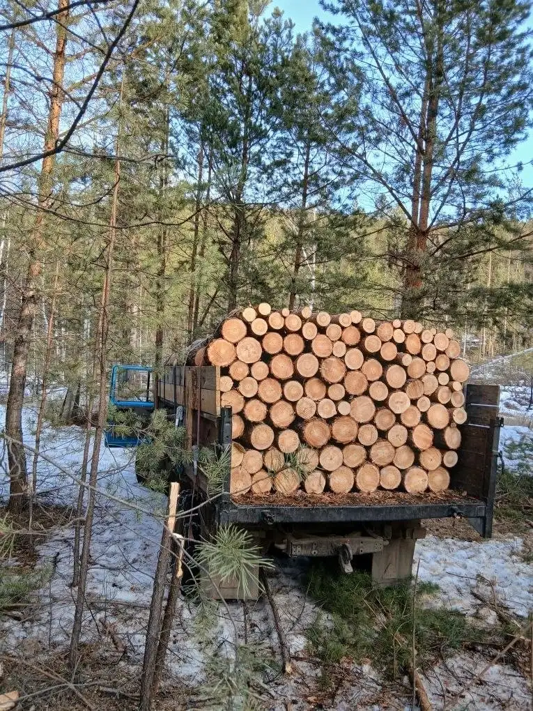 Продам дрова сосна ГАЗ53 - Дрова (Барахолка) в Улан-Удэ