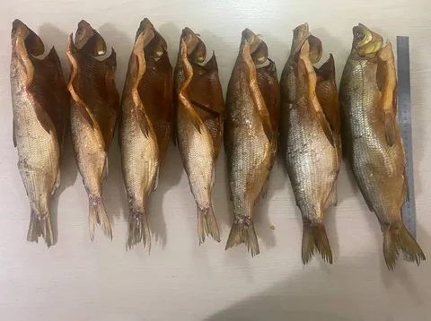 Пелядь холодного копчения в Улан-Удэ - частное объявление в Улан-Удэ