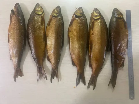 Пелядь горячего копчения в Улан-Удэ - частное объявление в Улан-Удэ