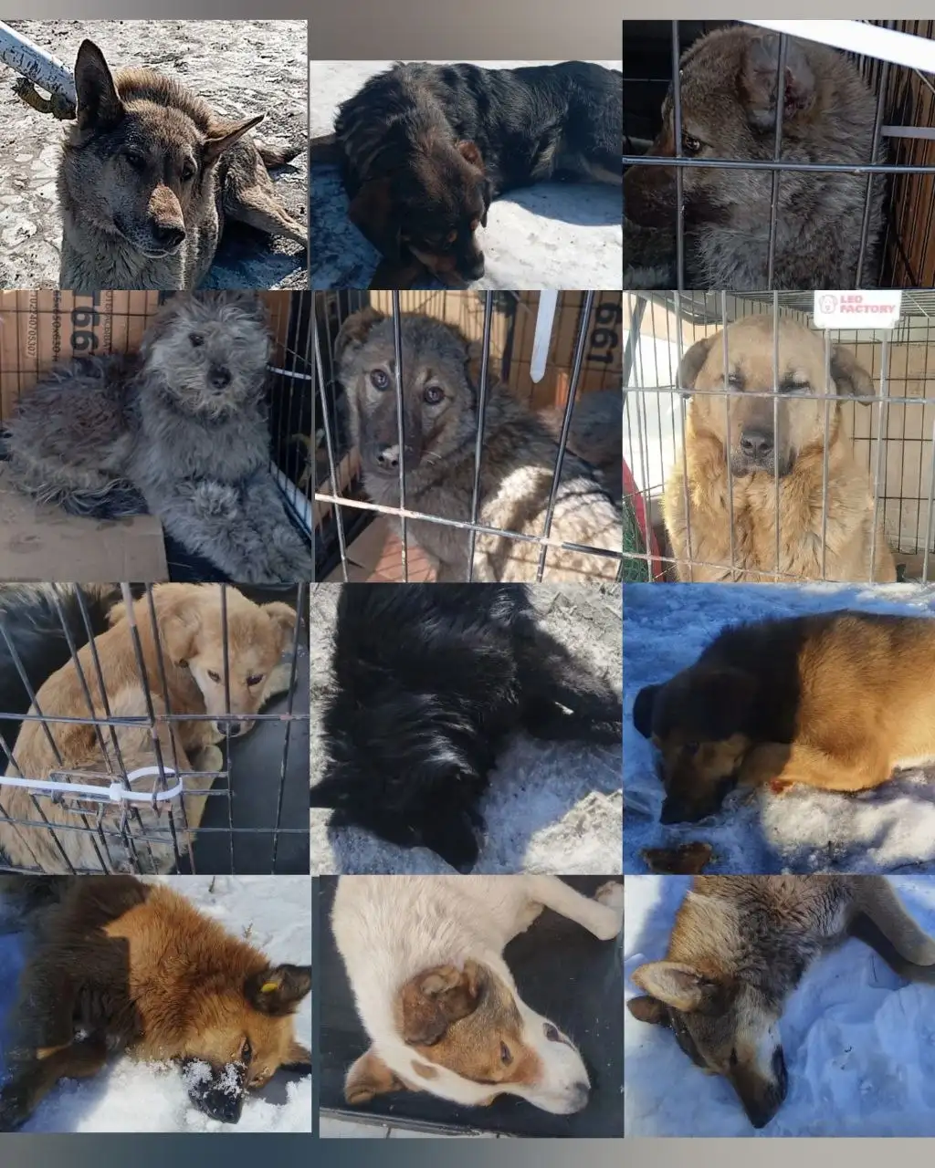 Аренда квартир в Советском районе - Квартиры (Недвижимость) в Улан-Удэ