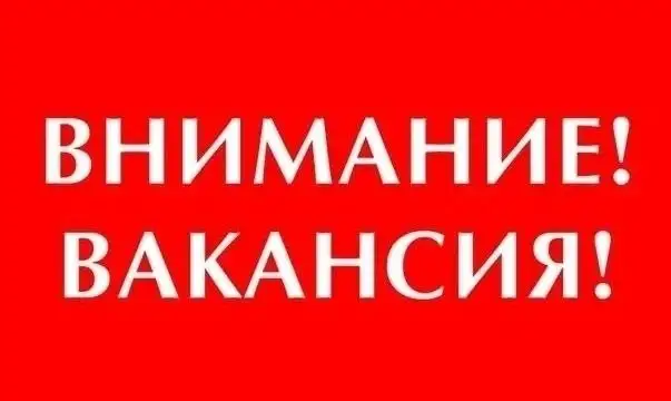 Требуются рабочие в лес - Вахта (Работа) в Мухоршибирский район