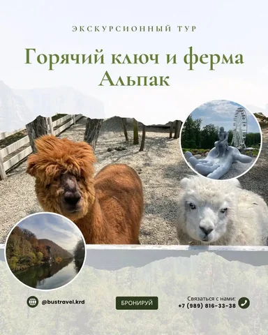 Тур выходного дня: Горячий Ключ – Целебный воздух и Дантово ущелье, Парк Альпак - Хобби и отдых в Краснодар