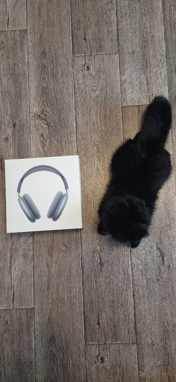 Продам Airpods Max 2024 оригиналы - Наушники (Электроника) в Уфа