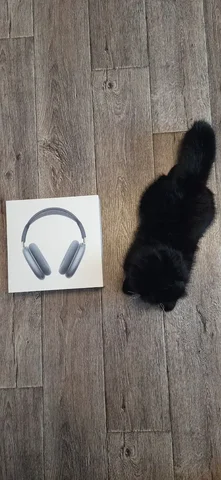 Продам Airpods Max 2024 оригиналы - Компьютеры в Уфа