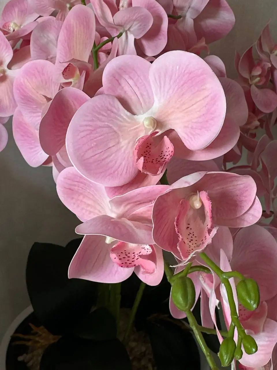 Композиция «королевская орхидея» из искусственных цветов в белом горшке - Искусственные цветы (Барахолка) в Уфа