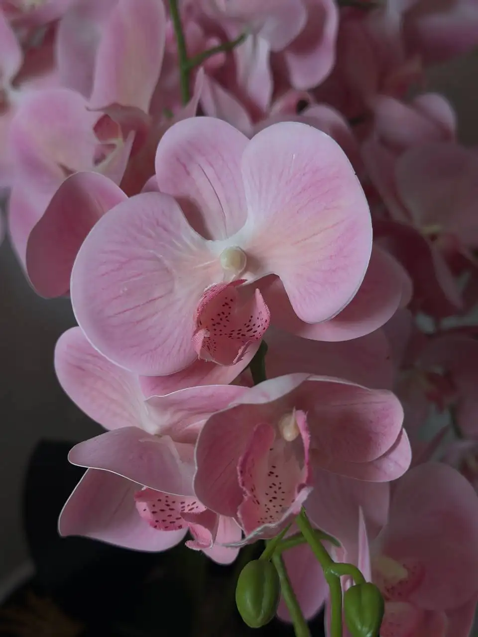 Композиция «королевская орхидея» из искусственных цветов в белом горшке - Искусственные цветы (Барахолка) в Уфа