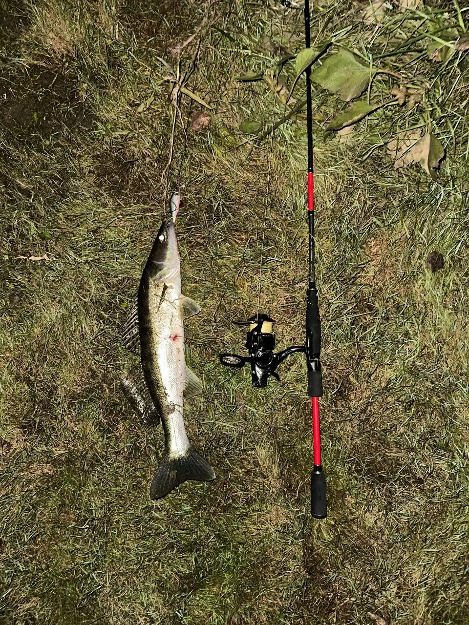 Спининг Nautilus Shok - Рыбалка (Хобби и отдых) в Уфа