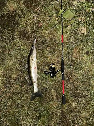 Спининг Nautilus Shok - Туризм и отдых на природе в Уфа