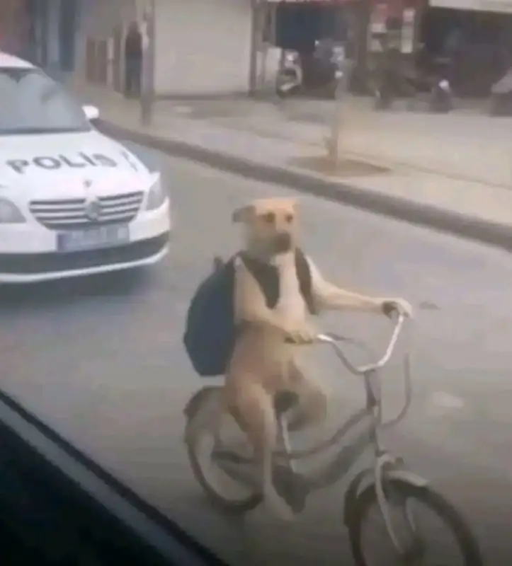 iPhone 14 128 ГБ в идеальном состоянии - Смартфоны (Электроника) в Уфа