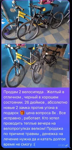 Продажа товара на барахолке Уфы - Саженцы в Уфа