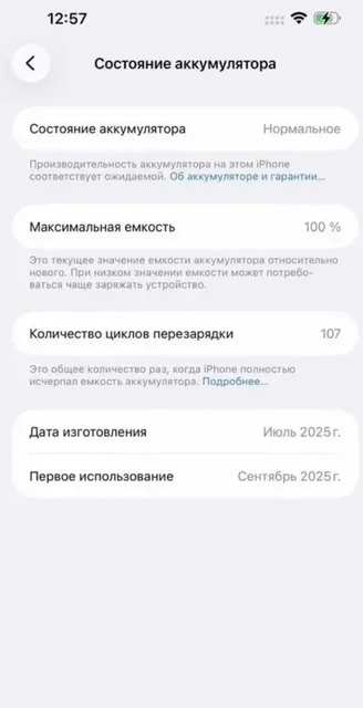 iPhone 17 Pro Max Silver - Игровые наушники в Уфа