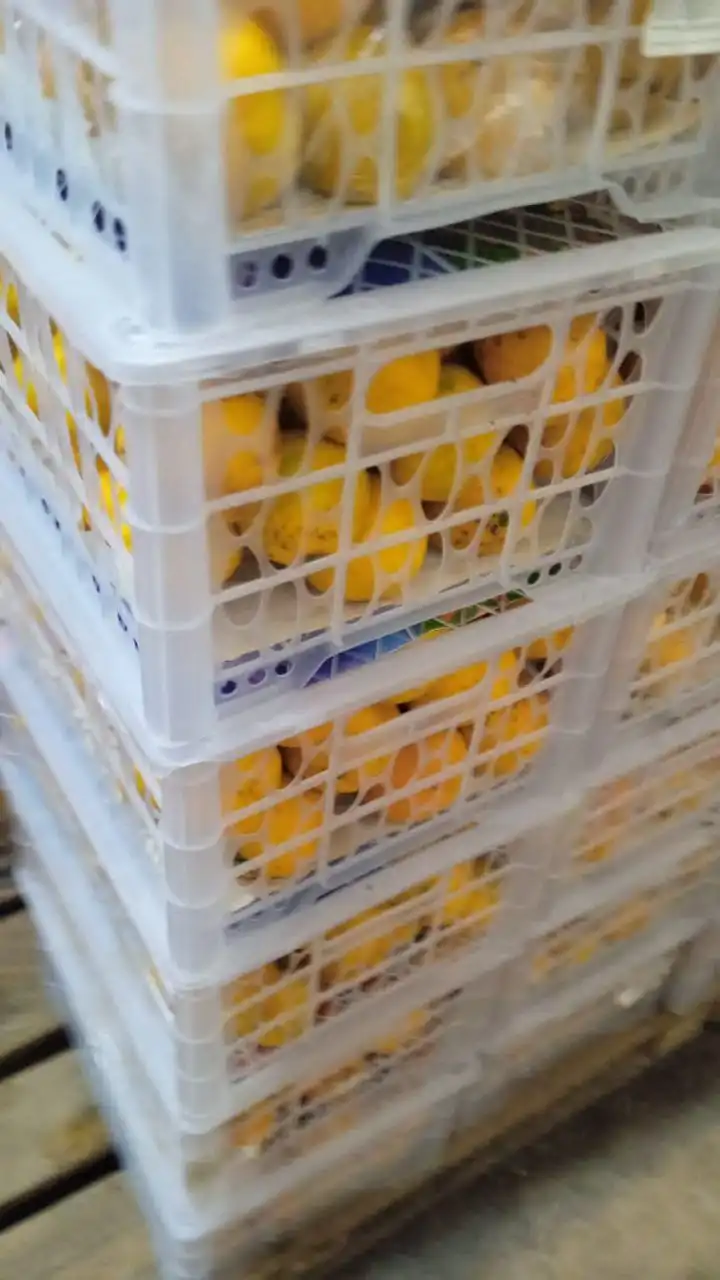 Продажа фруктов и овощей с доставкой в Уфе