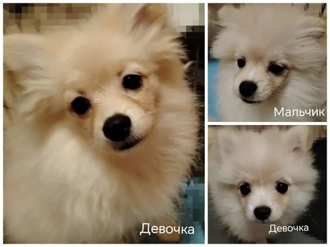 Продажа детских вещей - Товары для детей в Уфа